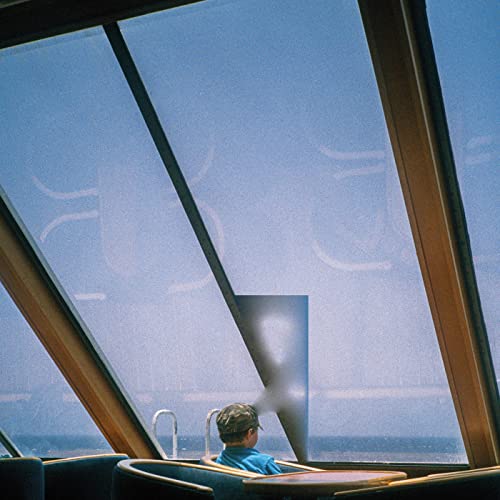 Zanshin - In Any Case By Any Chance - Vinyl Record image 1