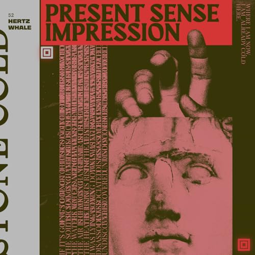 52 Hertz Whale - Present Sense Impression - Vinyl Record