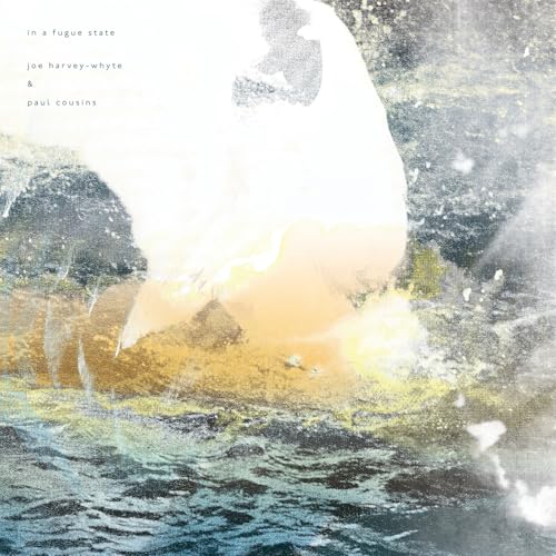 Joe Harvey-Whyte & P - in a fugue state - Vinyl Record image 1