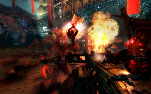 SHADOW WARRIOR - PC image 2