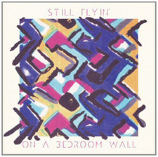 Still Flyin - On a Bedroom Wall - Vinyl Record Vinyl image 1