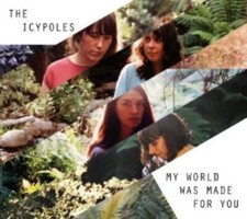 Icypoles - My World Was Made For You - CD image 1