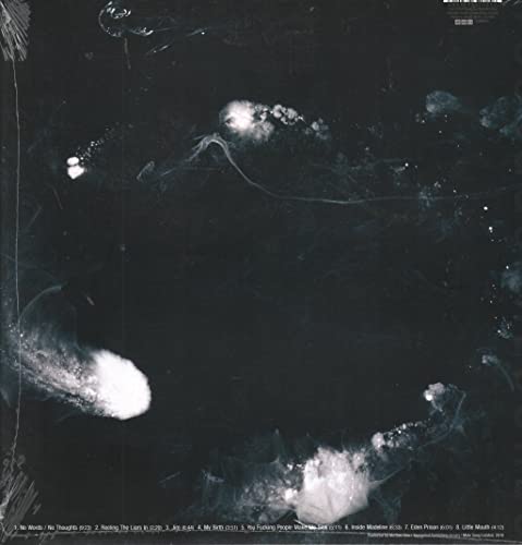Swans - My Father Will Guide Me Up A Rope To The Sky - Vinyl Record image 2