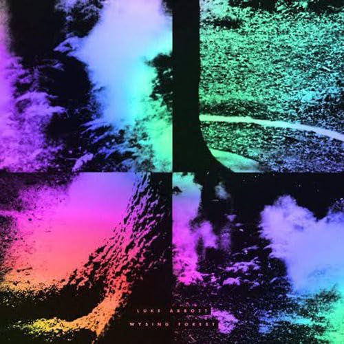 LUKE ABBOTT - WYSING FOREST - Vinyl Record 12" RECORD image 1