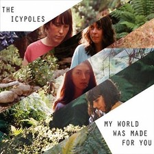 ICYPOLES - MY WORLD WAS MADE FOR YOU - Vinyl Record 12" RECORD image 1