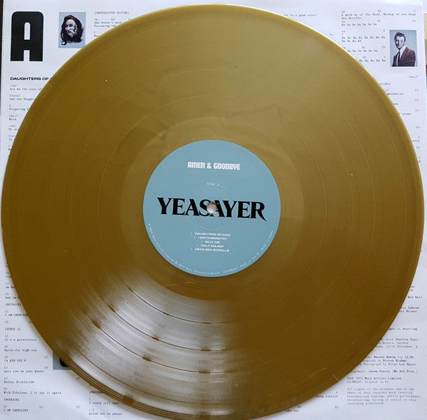 YEASAYER - AMEN & GOODBYE - Vinyl Record 12" RECORD image 4
