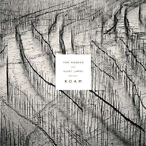 TOM HOBDEN & ELIOT J - PRESENT: ROAM - Vinyl Record 12" RECORD image 1