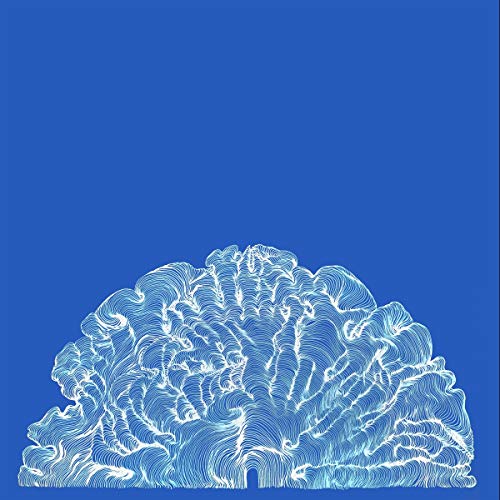 Leafcutter John - Yes! Come Parade With Us - Vinyl Record 12 Album" image 1