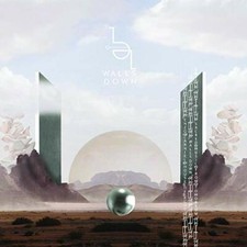 ENZO CARNIEL & HOUSE - WALLSDOWN - CD ALBUM image 1