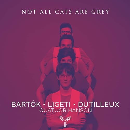 QUATUOR HANSON - NOT ALL CATS ARE GREY AT NIGHT - CD ALBUM image 1