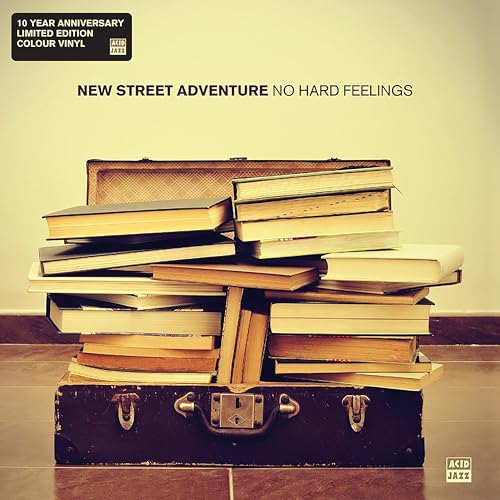 NEW STREET ADVENTURE - NO HARD FEELINGS - Vinyl Record 12" RECORD image 1