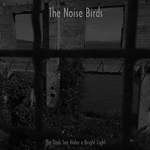 NOISE BIRDS - DARK SEA HIDES A BRIGHT LI  TH - Vinyl Record image 1