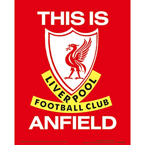 Liverpool FC - 3D Print - Pictures image 2