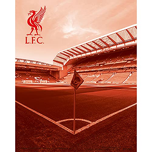Liverpool FC - 3D Print - Pictures image 3