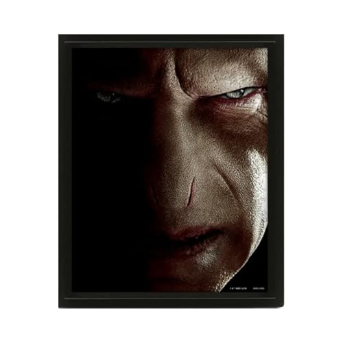 Harry Potter - Framed 3D Picture - Non-book item image 1