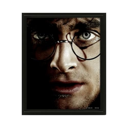 Harry Potter - Framed 3D Picture - Non-book item image 2
