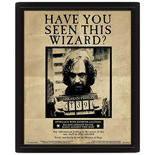 Harry Potter (Harry & Sirius) Framed 10 x 8" 3D Lenticular Poster (Fra image 1