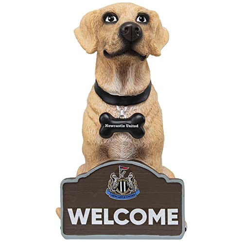 Newcastle United FC - Labrador Gnome - Garden image 2