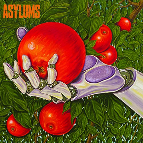 ASYLUMS - SIGNS OF LIFE - COMPACT DISC