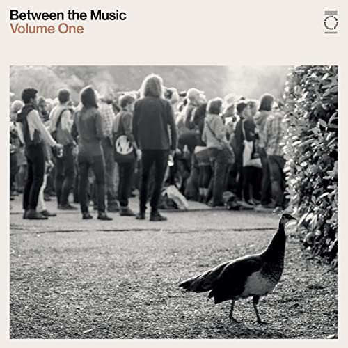 VARIOUS ARTISTS - END OF THE ROAD PRESENTS: BETWEEN THE MUSIC - Vinyl image 1