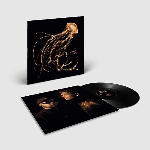 Royal Blood - Back to the Water Below - Vinyl Record 12" Album image 1