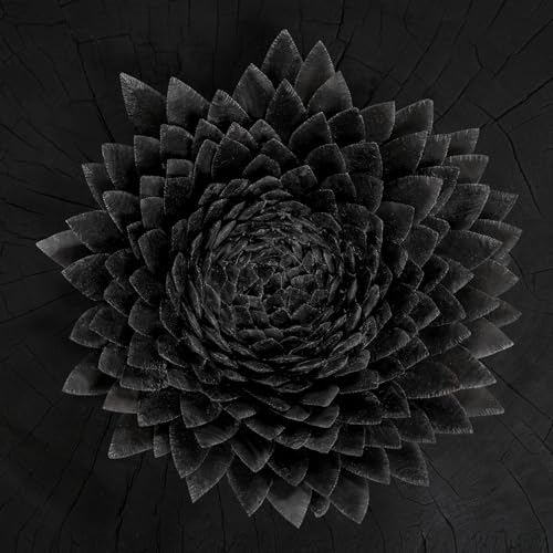 Jónsi - Obsidian - Vinyl Record VINYL image 1