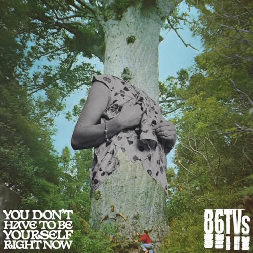 86TVs - You Don t Have To Be Yourself - Vinyl Record MAXI VINYL