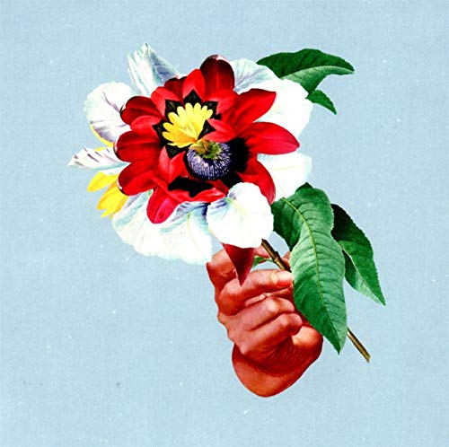 Maribou State - Kingdoms in Colour - CD image 1