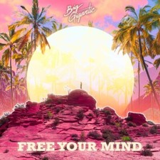 BIG GIGANTIC - FREE YOUR MIND - CD ALBUM image 1