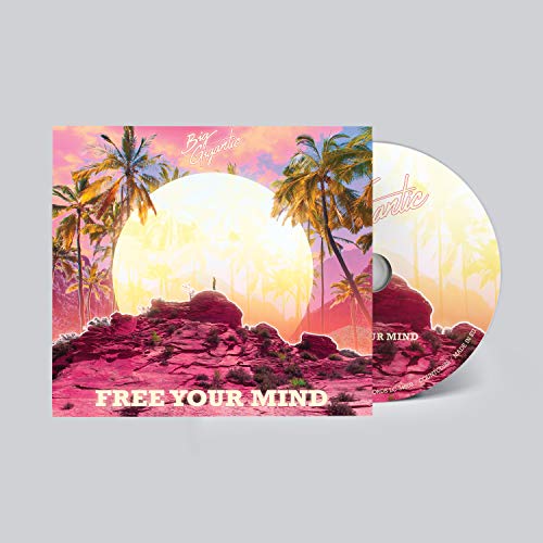BIG GIGANTIC - FREE YOUR MIND - CD ALBUM image 2