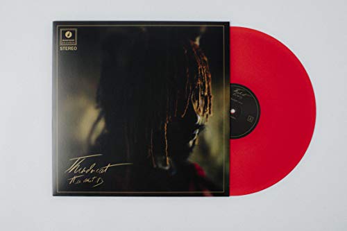 THUNDERCAT - IT IS WHAT IT IS - Vinyl Record 12" RECORD image 1