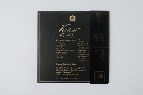 THUNDERCAT - IT IS WHAT IT IS - Vinyl Record 12" RECORD image 3