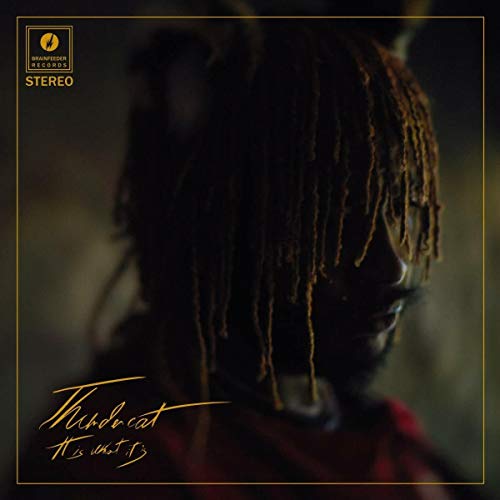 THUNDERCAT - IT IS WHAT IT IS - CD ALBUM image 1