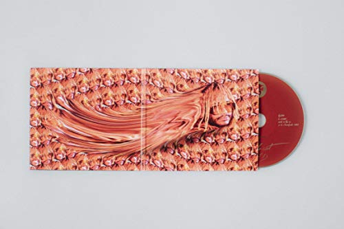 THUNDERCAT - IT IS WHAT IT IS - CD ALBUM image 3