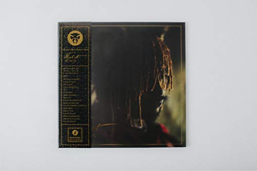 THUNDERCAT - IT IS WHAT IT IS - Vinyl Record 12" RECORD image 6