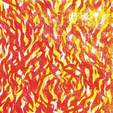 BUG - FIRE - CD image 1