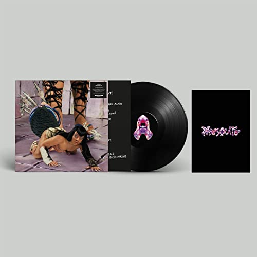 LYZZA - MOSQUITO - Vinyl Record 12" RECORD image 1