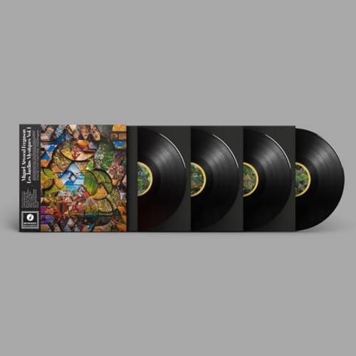 MIGUEL ATWOOD-FERGUS - LES JARDINS MYSTIQUES VOL.1 - Vinyl Record 12" image 1