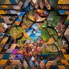 MIGUEL ATWOOD-FERGUS - LES JARDINS MYSTIQUES VOL.1 - CD ALBUM image 1
