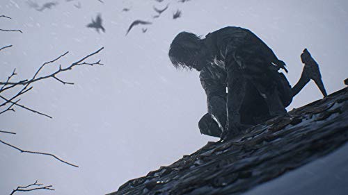 Resident Evil - Village - Playstation 4 image 4