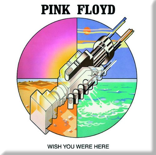 Pink Floyd - Fridge Magnet: Wish you were here - TV Memorabilia Fridge image 3