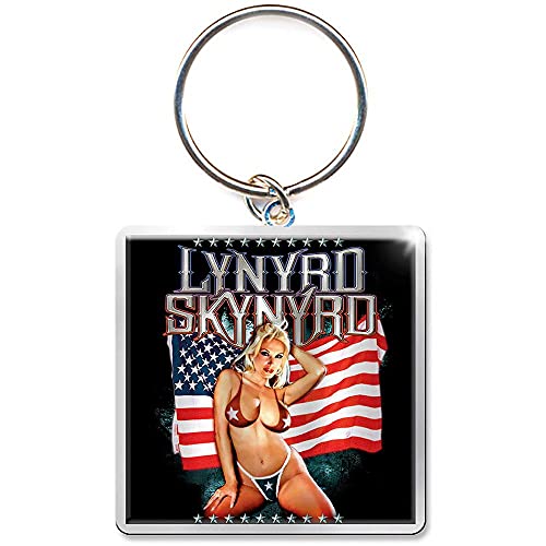 Lynyrd Skynyrd - Keychain: American Flag (Photo-print) - keyrings image 2