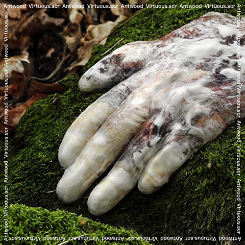 ANTWOOD - VIRTUOUS.SCR - Vinyl Record VL image 1