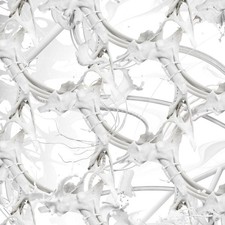 Ziúr - U Feel Anything? - CD image 1