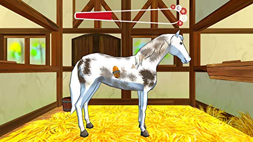 Bibi & Tina: Adventures with Horses (PS4) - PS4 image 6