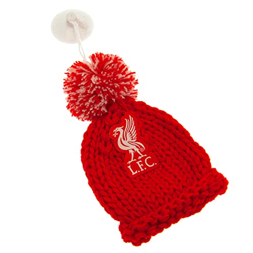 Liverpool FC - Hanging Bobble Hat - Hang Ups & Stickers image 3