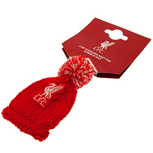 Liverpool FC - Hanging Bobble Hat - Hang Ups & Stickers image 4