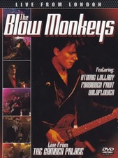 Blow Monkeys - Live From London - DVD image 1