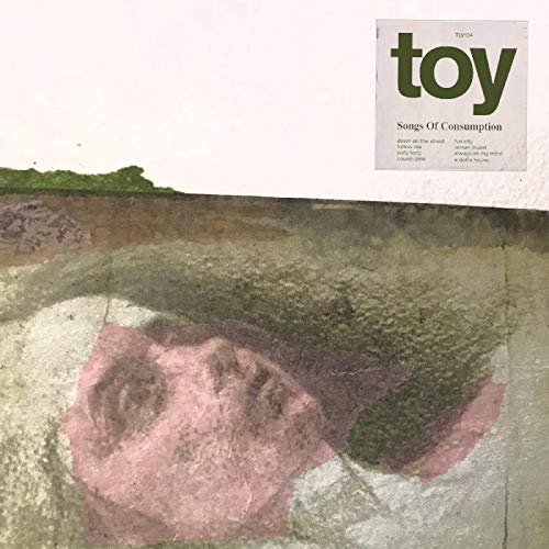 TOY - SONGS OF CONSUMPTION - CD image 1