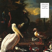 WILLIAM DOYLE - GREAT SPANS OF MUDDY TIME - CD image 1